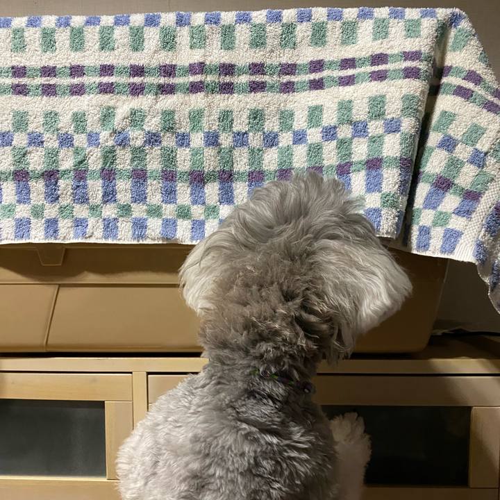 B90b7777 eebe 4988 bed9 662199189e39 1631028286218