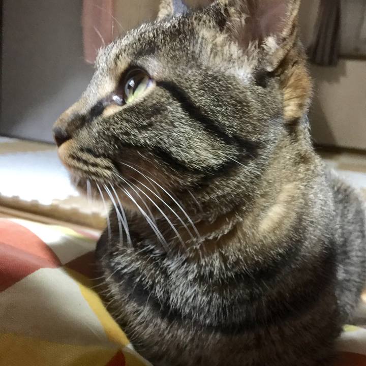 B90baaed 0e3b 48f9 a6e0 9e4ad4998381 1521975573755