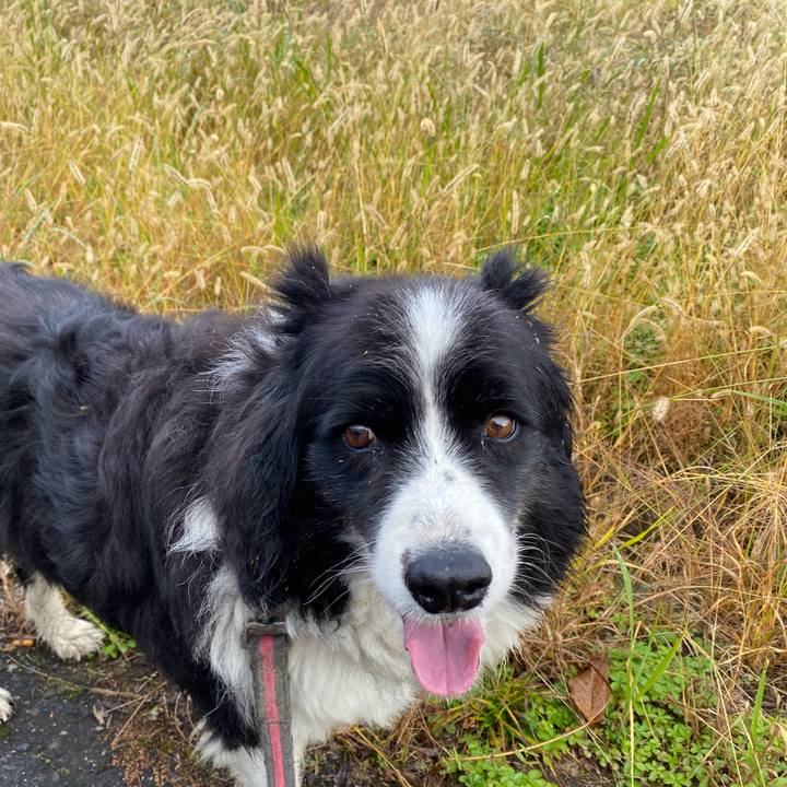 B90be57f 534e 4855 9cfb bf52a6e3ed55 1668297477479