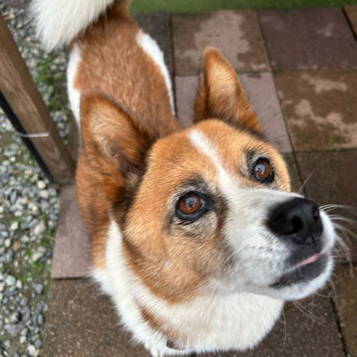 B90c0236 2919 4a46 b286 e69b2eb93106 1760390295334