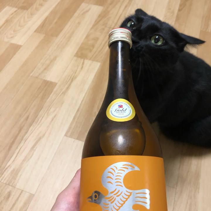 B90c1d11 edc9 4884 9ed0 1874cd5b6c4f 1565959937803