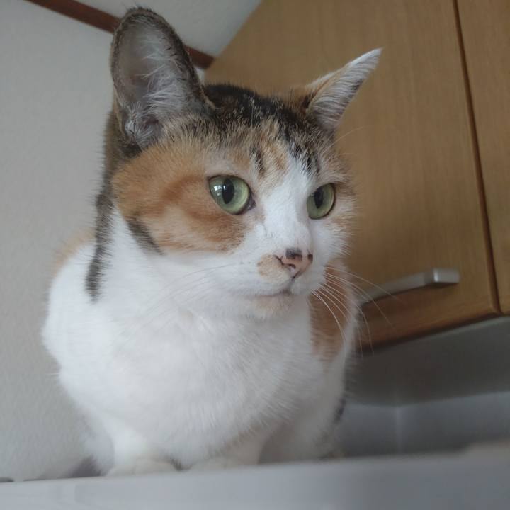 B90c24c6 ae03 47a5 b585 9417f77bd5c6 1695265125053