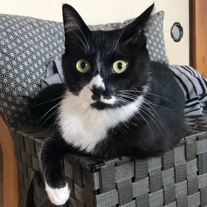 B90c3421 5952 48fc b239 f04ad87bbf3f 1628221503128