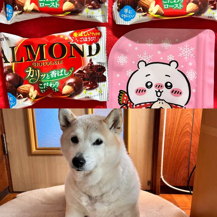 B90c3881 4479 489f afd2 2543fa4d75ea 1736433791025