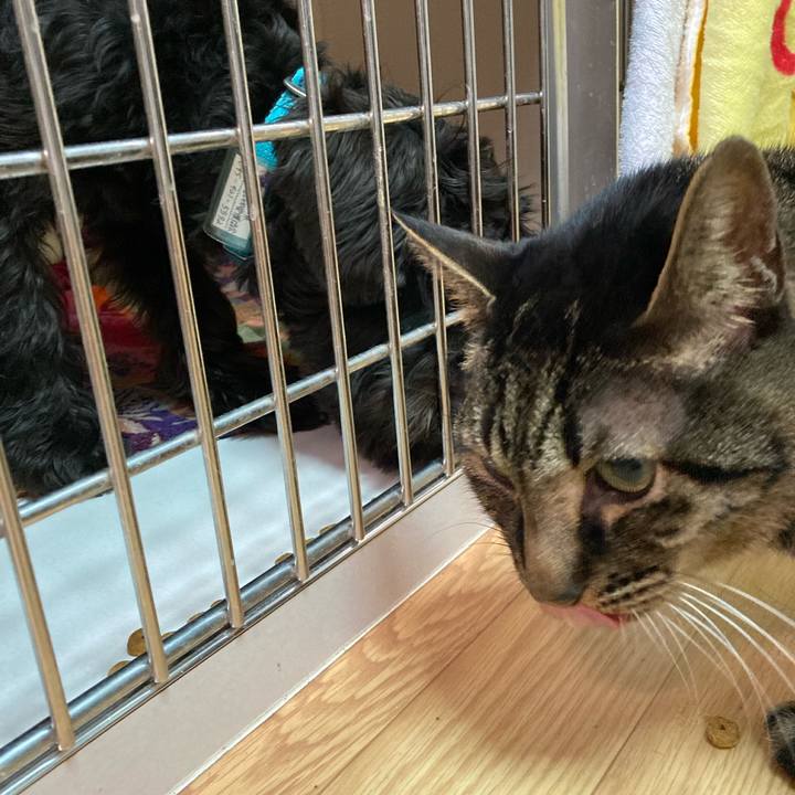 B90c6554 b3c8 465d 99a8 012396d8d1ab 1640077155935