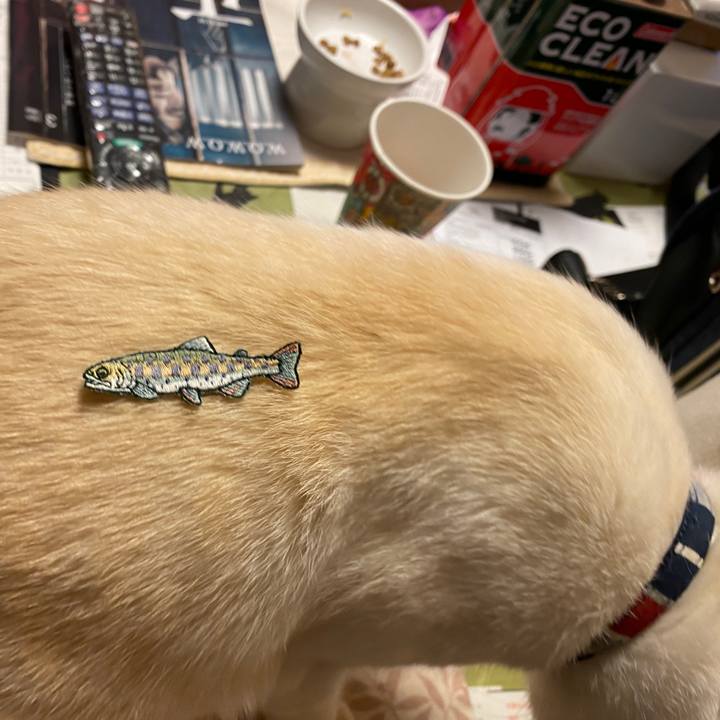 B90ca756 76f9 4c8a b079 f282e1c52c98 1647066528267