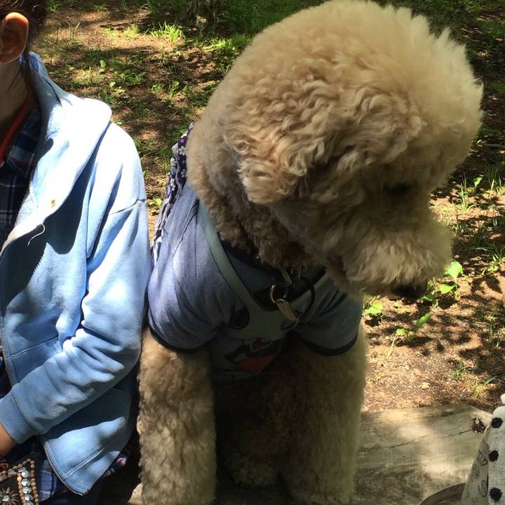 B90cc1f8 ee23 4a08 a047 fd870a72c32d 1513406133550