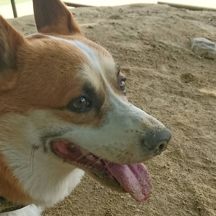 B90cd3dc 3226 45b1 b6b2 c2e0ac627be8 1653623624243