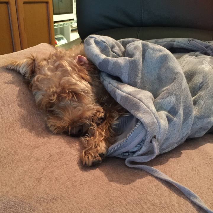 B90cdb7f 9680 432c abfe 85f2411e32bf 1508048457284