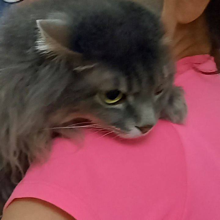 B90d00c7 e352 4af3 9b49 eaf1cd37f178 1621072882005