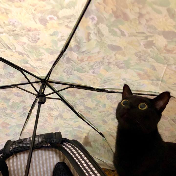 B90d02e7 d3de 4c9a a515 8ea3e4386e68 1525696157793