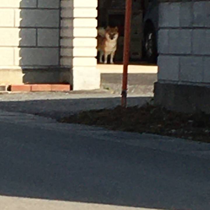 B90d08c3 53c9 4ffb b172 381c041ad065 1582175285899