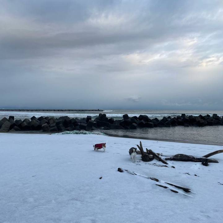 B90d1e85 84d3 45c7 b128 03b243197458 1736032684136