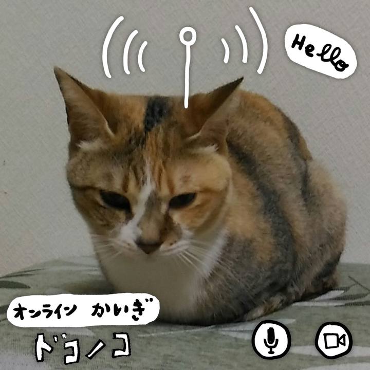 B90dac6d e8fe 4f7f aeca 0ee1f061f468 1590954735111