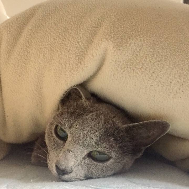 B90dbfd4 66b8 4618 b75a a56435f0472f 1549494208262