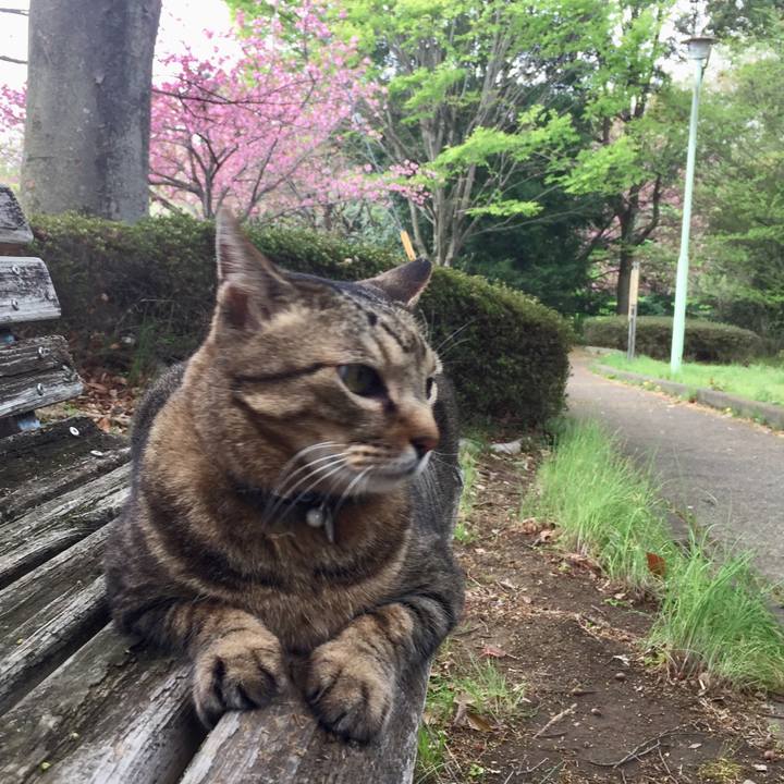 B90df384 8fae 43fe ab3c 54a62db159ff 1523092887702