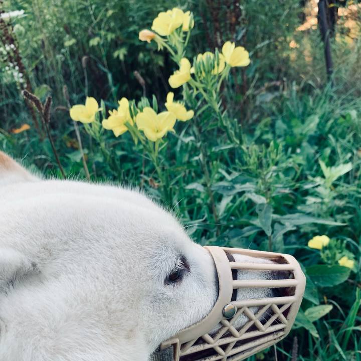 B90df717 36ec 4668 a446 42b9de6b3c70 1630269524418