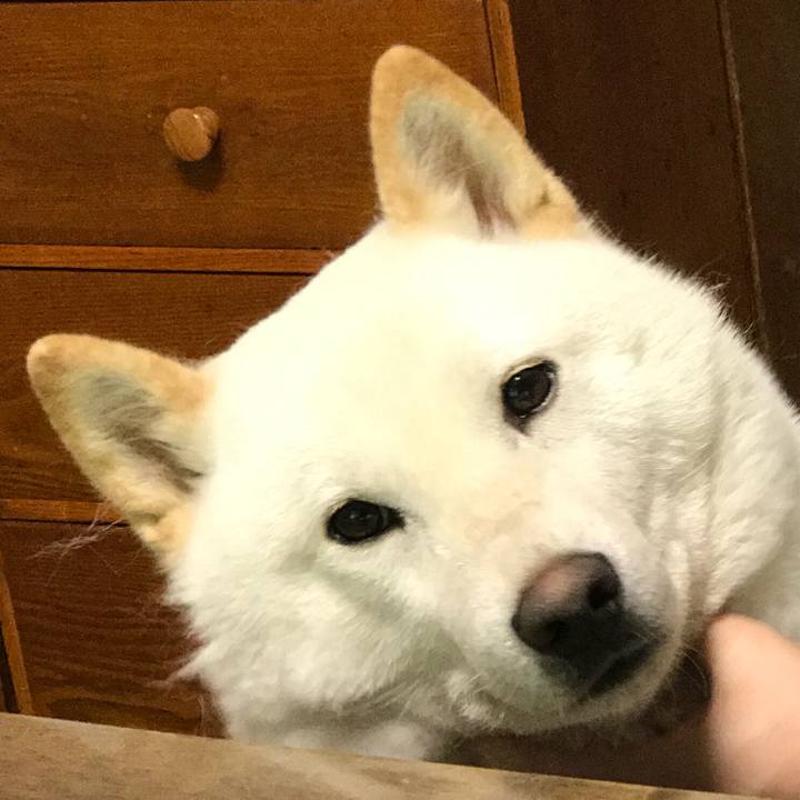 B90e1feb 571b 4a96 b5ce a7e844fedaf9 1532642734738