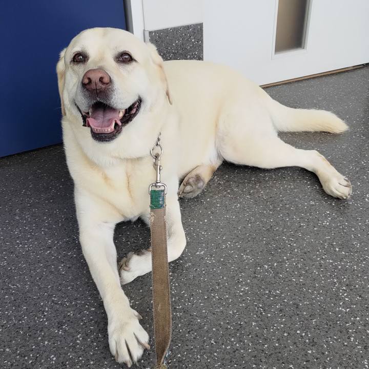 B90e4a99 ca67 45c2 8845 dcf9c37af3f7 1687063073181