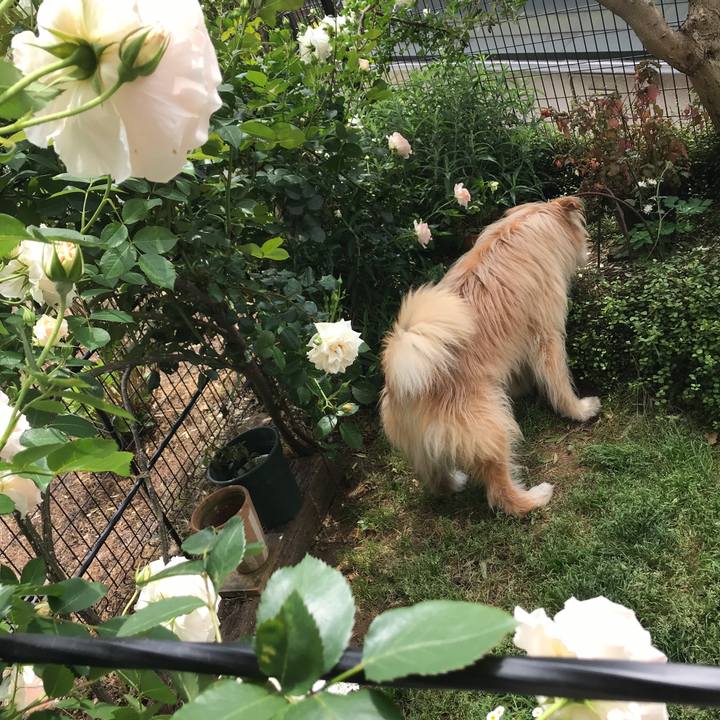 B90e72d8 5d85 48c4 911b e734d848c2c5 1589248245228