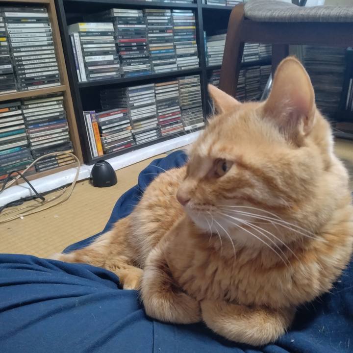 B90e8bf2 3f5d 4e9b b1af cdc167548ef5 1683884484515