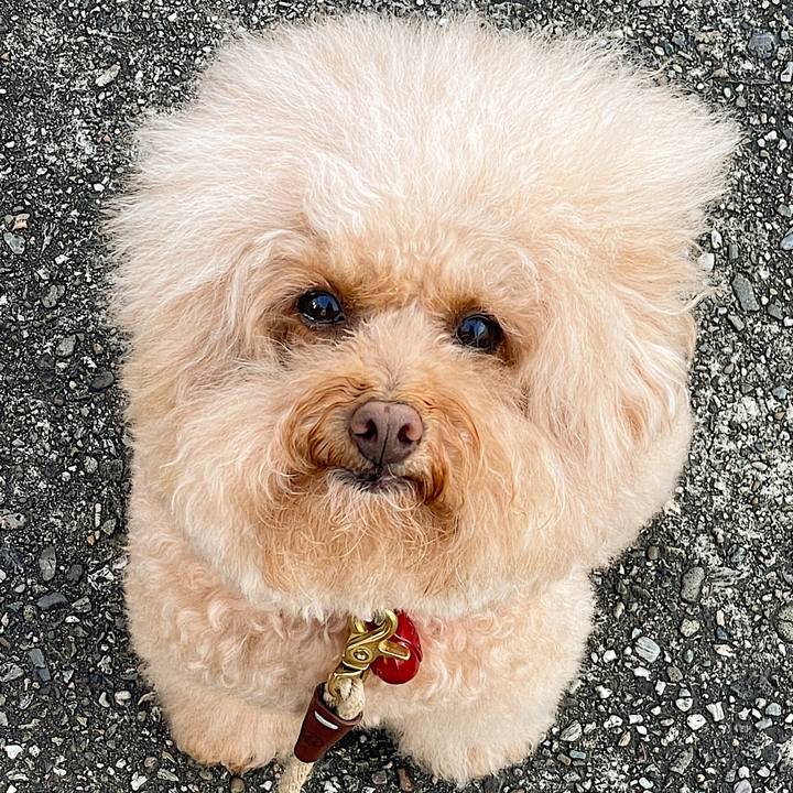 B90e9d67 6b86 4c8d b42e fd6095d01e6d 1691149343466