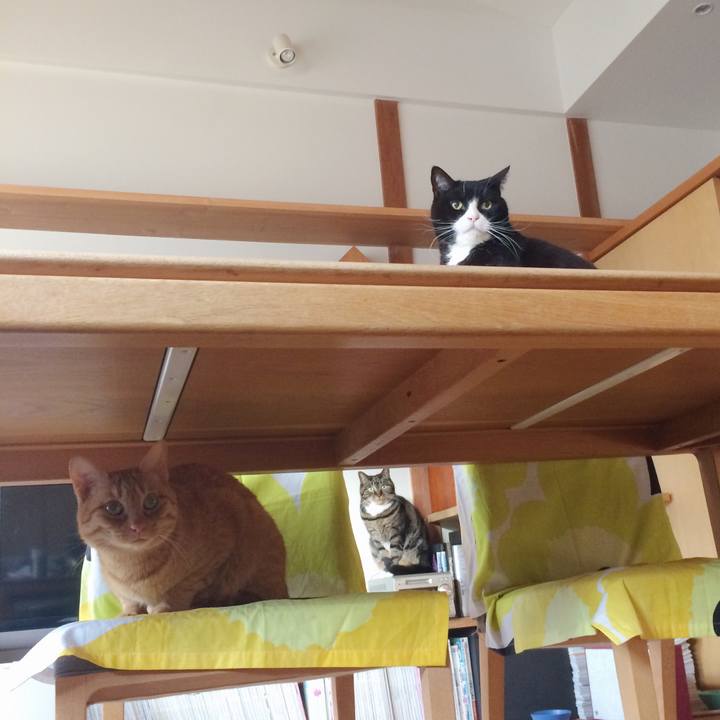 B90eb86d fbea 4d7b b9d5 c0035b8e33c0 1518823600182