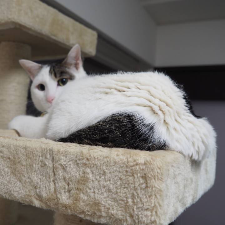 B90edc5e 8897 4c58 a96c 3a8aa65b0918 1520344405644