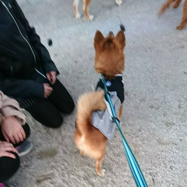 B90ee1a6 7e26 401b a86a 7d402de3aa8c 1514796300072