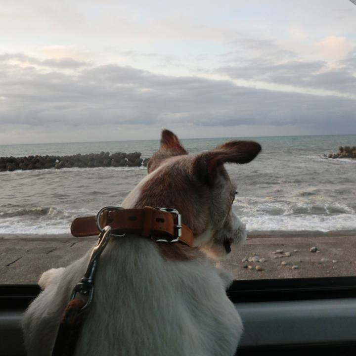 B90f1019 7f75 44f9 a38b 8109bb57693a 1578141489310