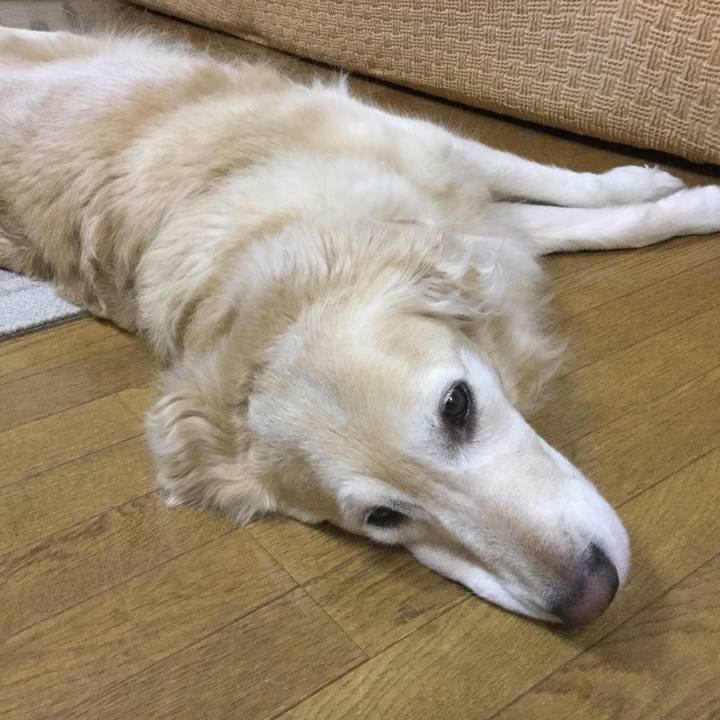 B90f18da 6e4f 443e bb08 e87d4741b29c 1542023797871