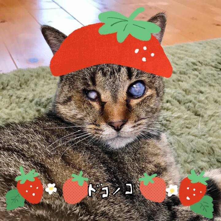 B90f348e 9bf2 4c64 9cf0 d96128c01a7f 1775192278822