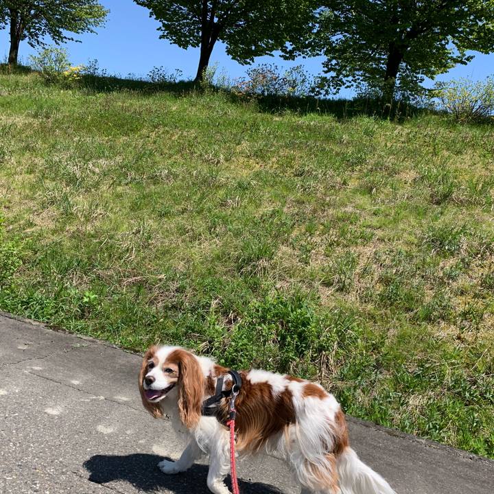 B90f53d9 c465 4597 908e eb149c95e8fa 1588564291025