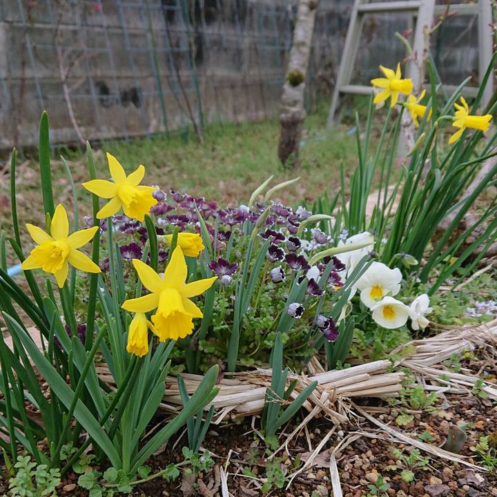 B90f5c1d 6a03 41ff 9a06 6d6e2b82722a 1582718735912