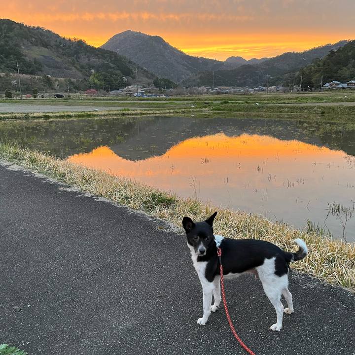 B90f5c44 80bd 4636 a2c2 8de1100011aa 1649686764129