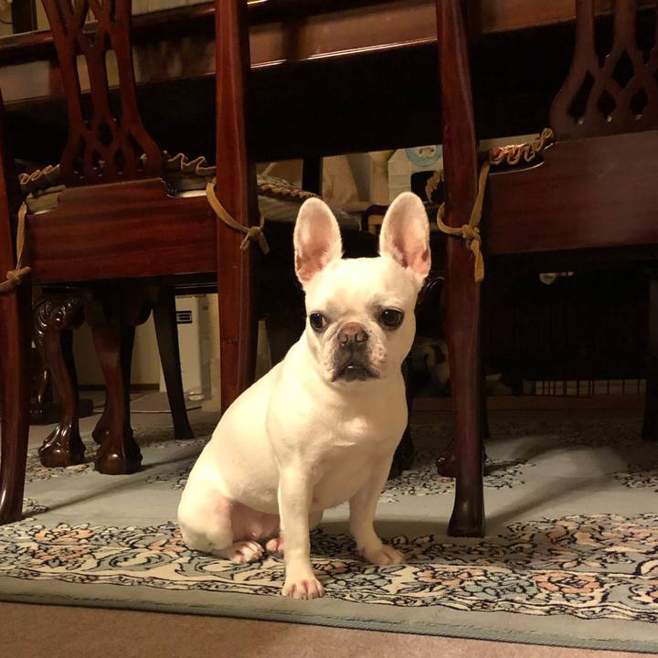 B90f6163 989d 41aa bd4a 69a6c66cf5de 1552307309265