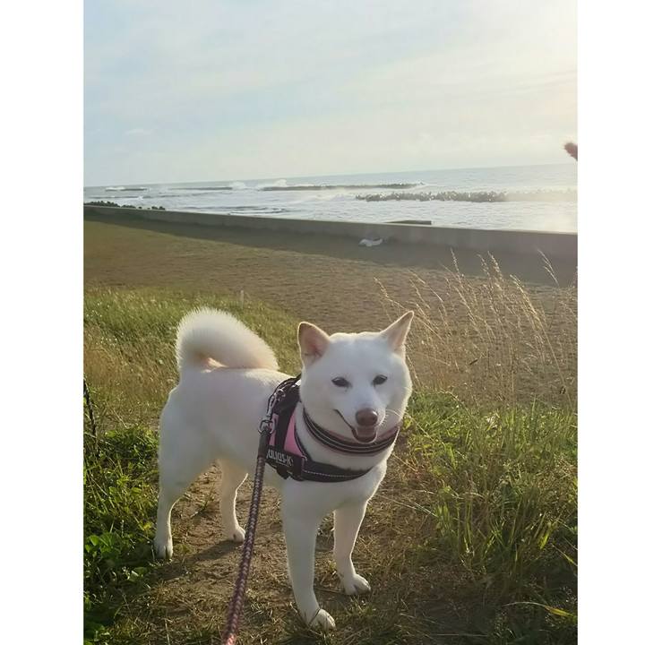 B90f76e7 5648 427f b38f 475b52d23977 1528968071949