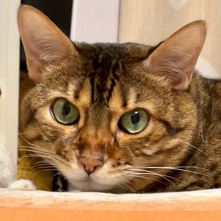 B90f78e7 75fa 4176 be83 fd6a2ec6fbe4 1660480124753