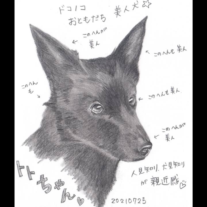 B90fba05 64ca 4c60 9558 8c91ddd9c155 1627178968337