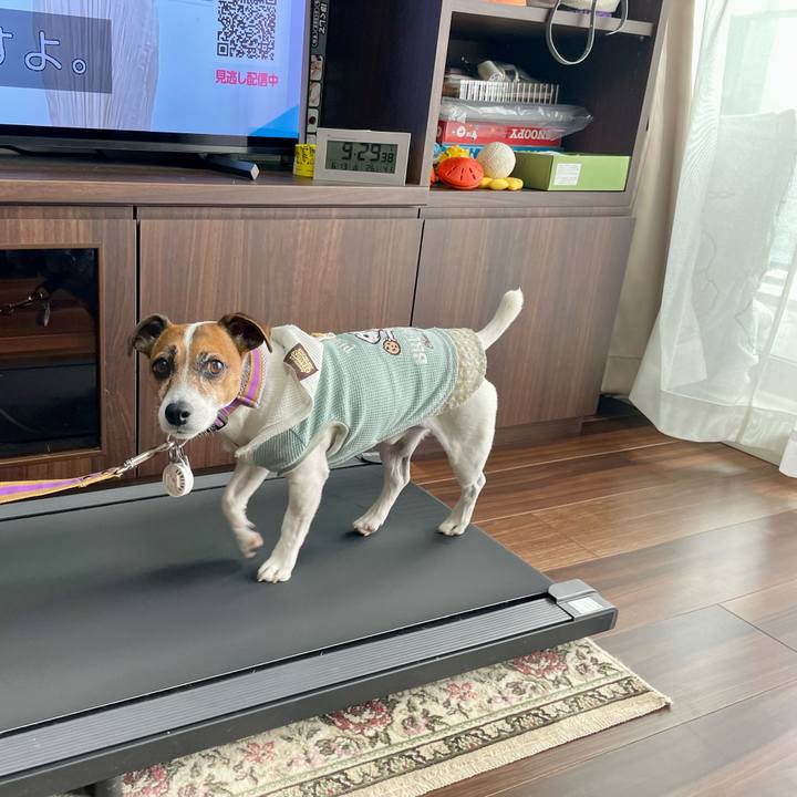 B90fe089 d5c5 4f12 b1f5 2822454c915a 1749779871479