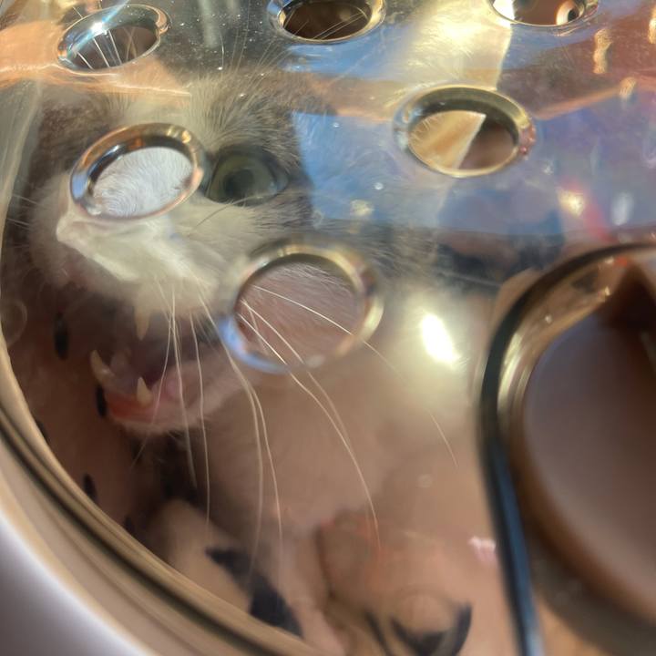 B90ff1fc 3dad 4589 9e7b 98f0dfe44e3b 1642469470605