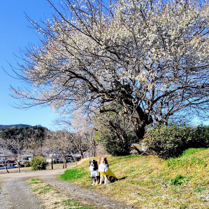 B9101bec 9289 45d7 b204 8a53568a0490 1773486961226