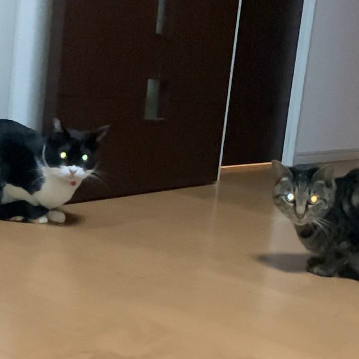 B9104335 c701 4d6b 97c8 dfcf65aad0ba 1610463964540