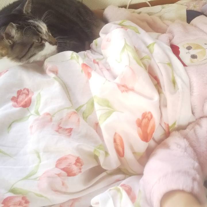 B9106c46 666d 4177 9b72 4d074c9f459f 1735618214212