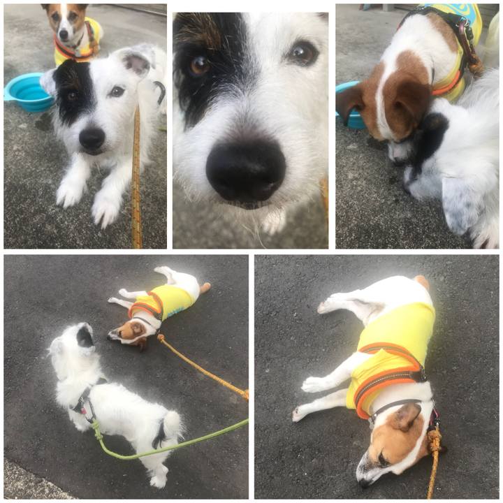 B91072e4 b480 422e 98ff 39a5e24a3ef7 1531094402112