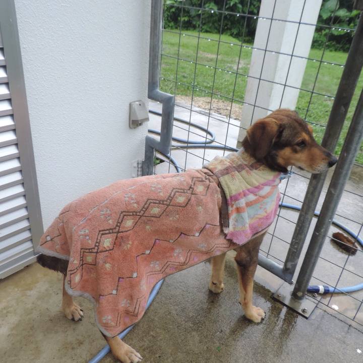 B910b27b 7595 46e9 95c9 bdec1635c86b 1512905817322