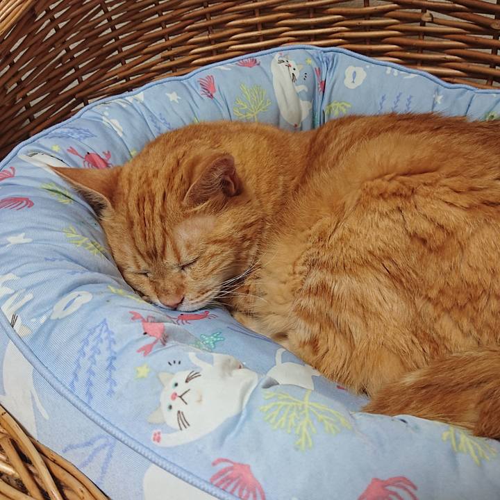 B910ecea a50f 40a0 93fa 0e22beaf7908 1722168059379