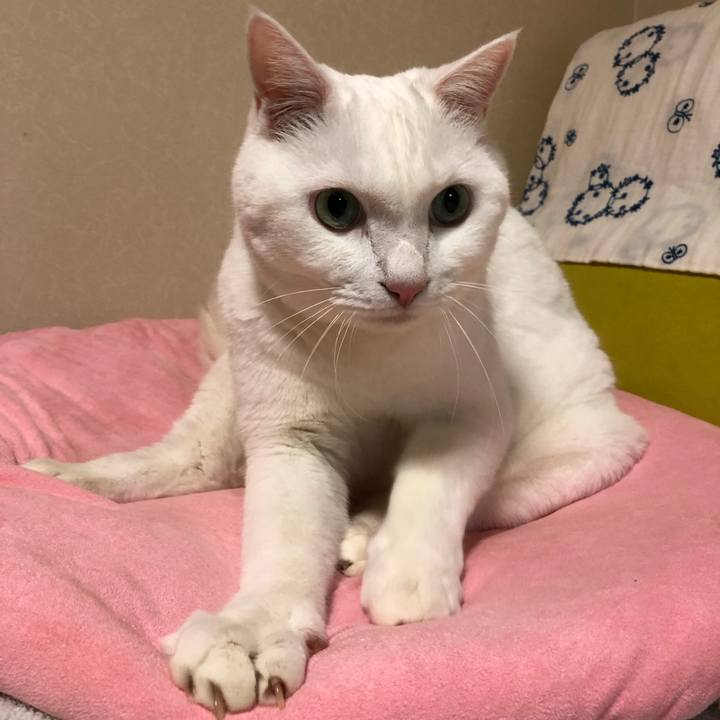 B9110d9c e6e3 4adc b473 3494ee00ec30 1631795745918