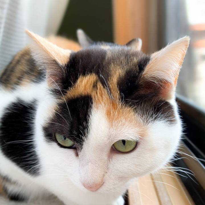 B9112fd1 204c 4a52 8603 07769d59f9c8 1590803891692