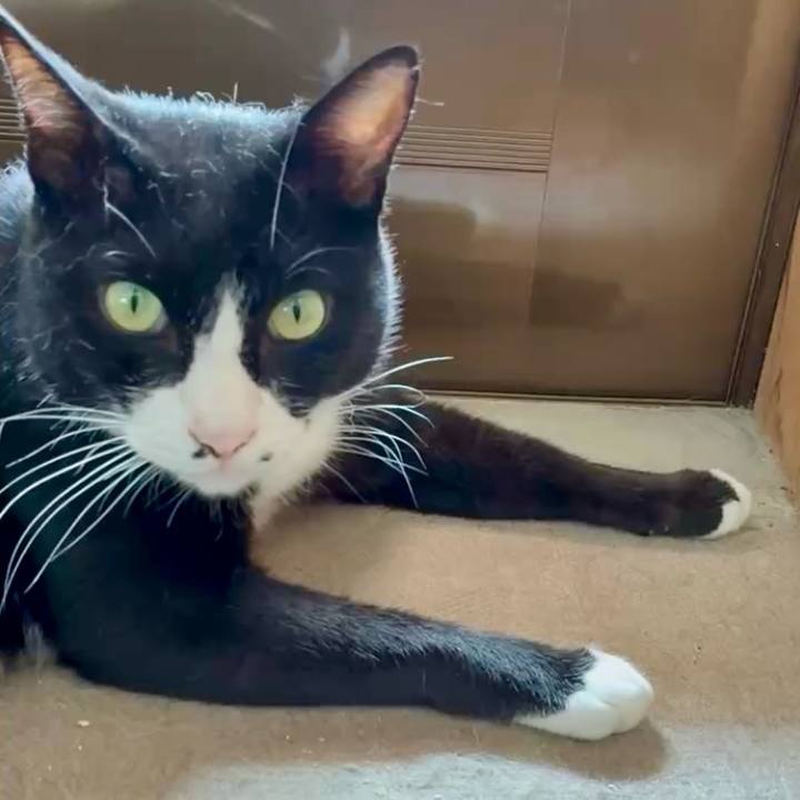 B9113089 a9e4 4b18 86a8 65fd1f985308 1755570052825